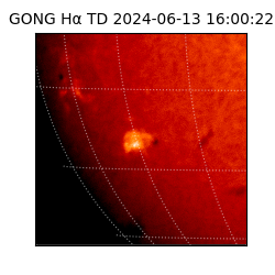 gong - 2024-06-13T16:00:22