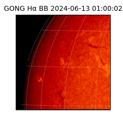 gong - 2024-06-13T01:00:02