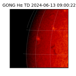 gong - 2024-06-13T09:00:22