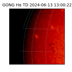 gong - 2024-06-13T13:00:22