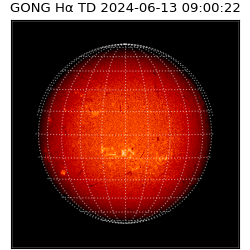 gong - 2024-06-13T09:00:22