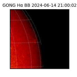 gong - 2024-06-14T21:00:02