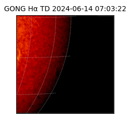 gong - 2024-06-14T07:03:22