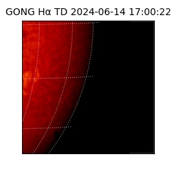 gong - 2024-06-14T17:00:22