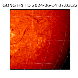 gong - 2024-06-14T07:03:22