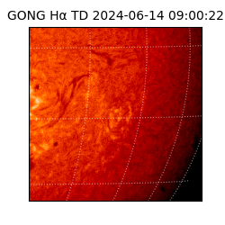 gong - 2024-06-14T09:00:22