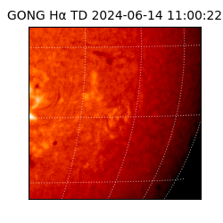 gong - 2024-06-14T11:00:22