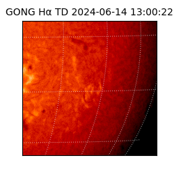 gong - 2024-06-14T13:00:22