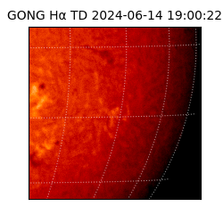 gong - 2024-06-14T19:00:22