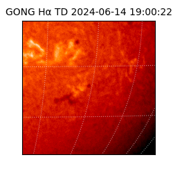 gong - 2024-06-14T19:00:22