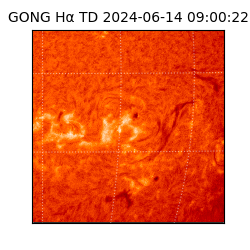 gong - 2024-06-14T09:00:22