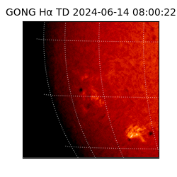 gong - 2024-06-14T08:00:22