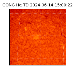 gong - 2024-06-14T15:00:22