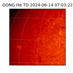 gong - 2024-06-14T07:03:22