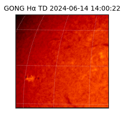 gong - 2024-06-14T14:00:22
