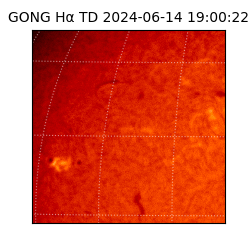 gong - 2024-06-14T19:00:22