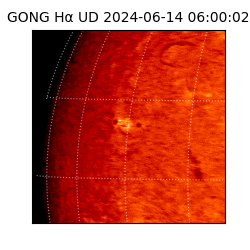 gong - 2024-06-14T06:00:02