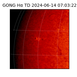 gong - 2024-06-14T07:03:22