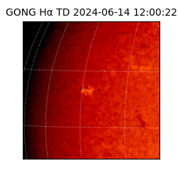 gong - 2024-06-14T12:00:22