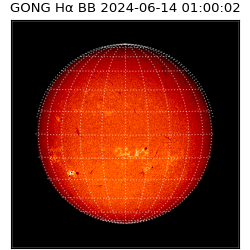 gong - 2024-06-14T01:00:02