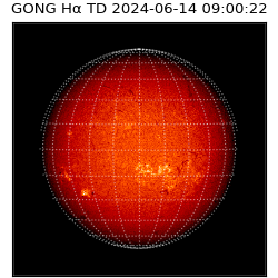 gong - 2024-06-14T09:00:22