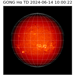 gong - 2024-06-14T10:00:22