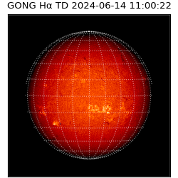 gong - 2024-06-14T11:00:22