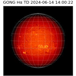 gong - 2024-06-14T14:00:22