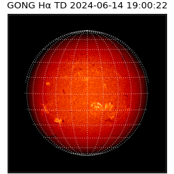 gong - 2024-06-14T19:00:22