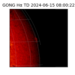 gong - 2024-06-15T08:00:22