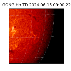 gong - 2024-06-15T09:00:22