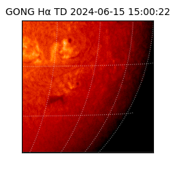 gong - 2024-06-15T15:00:22