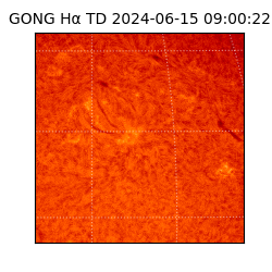gong - 2024-06-15T09:00:22
