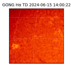 gong - 2024-06-15T14:00:22