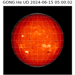 gong - 2024-06-15T05:00:02