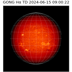 gong - 2024-06-15T09:00:22