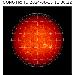 gong - 2024-06-15T11:00:22