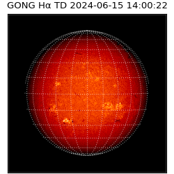 gong - 2024-06-15T14:00:22