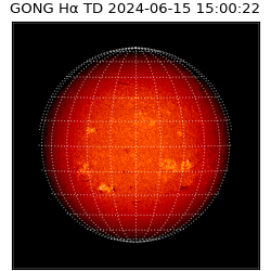 gong - 2024-06-15T15:00:22