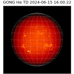 gong - 2024-06-15T16:00:22