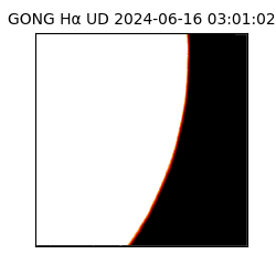 gong - 2024-06-16T03:01:02