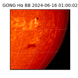 gong - 2024-06-16T01:00:02
