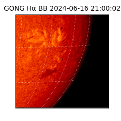 gong - 2024-06-16T21:00:02