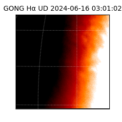 gong - 2024-06-16T03:01:02