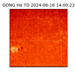 gong - 2024-06-16T14:00:22