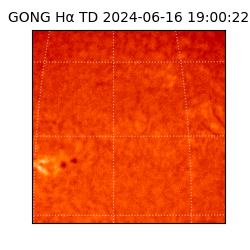 gong - 2024-06-16T19:00:22