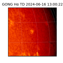 gong - 2024-06-16T13:00:22