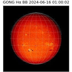 gong - 2024-06-16T01:00:02