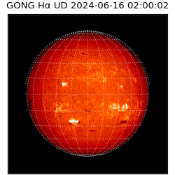 gong - 2024-06-16T02:00:02