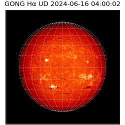gong - 2024-06-16T04:00:02